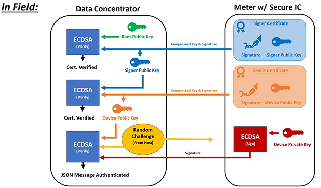 In Field Diagram