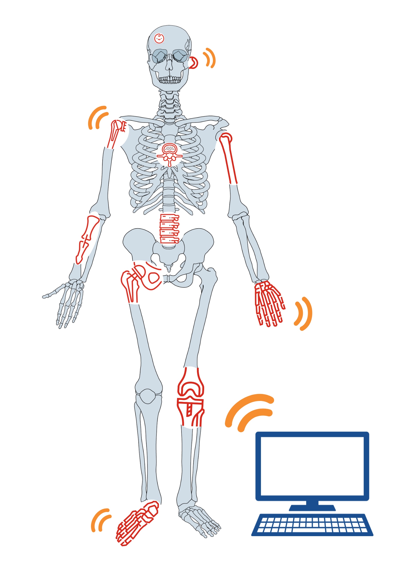 skeleton