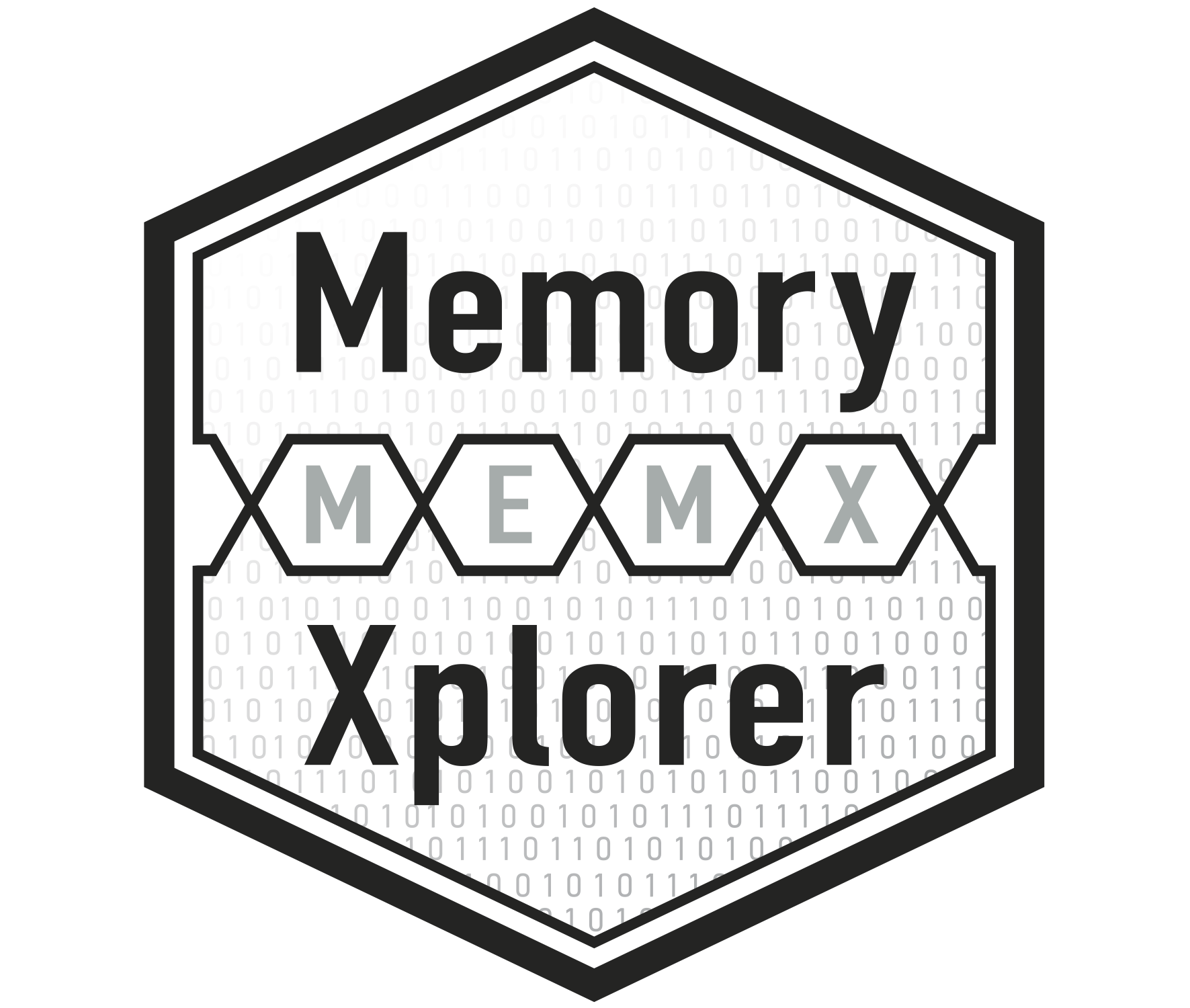 Memory Xplorer Graphic