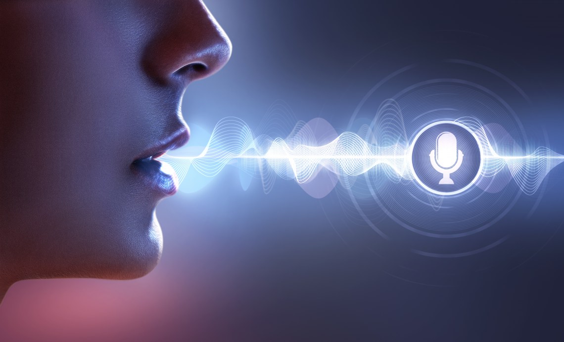 Voice Processor Support and Services