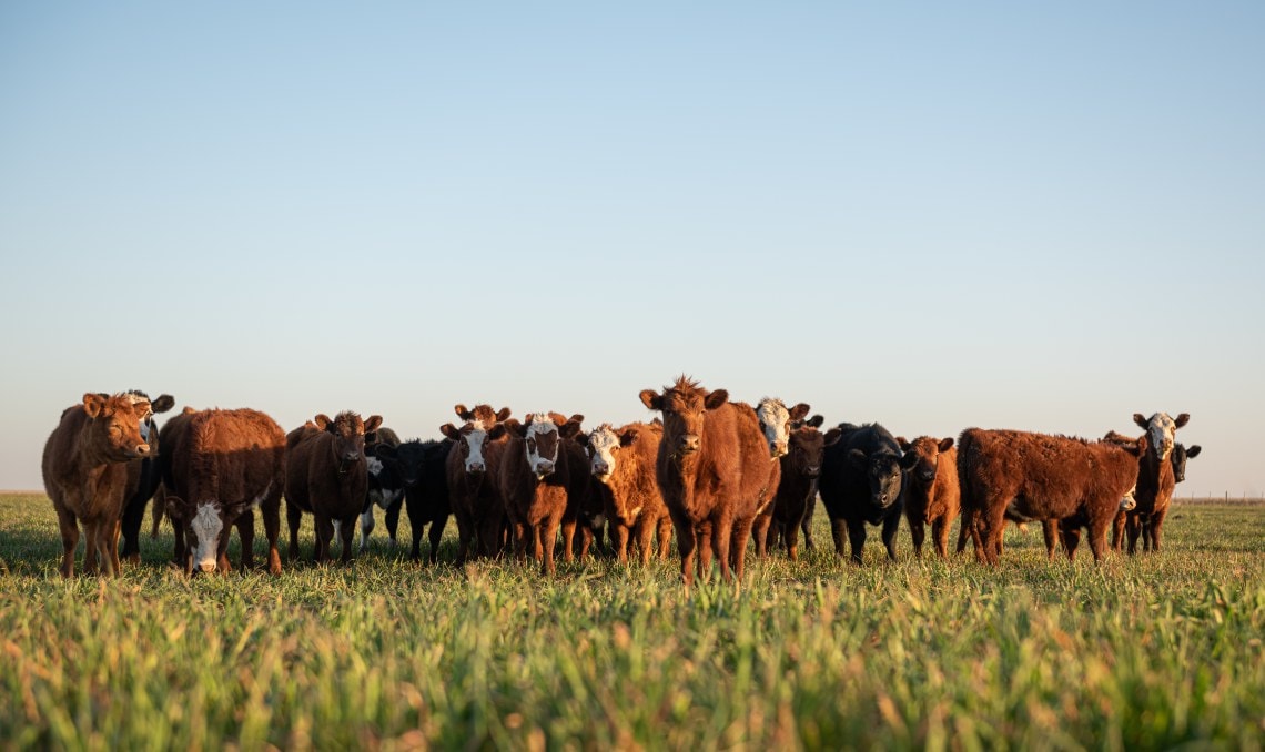 Agriculture