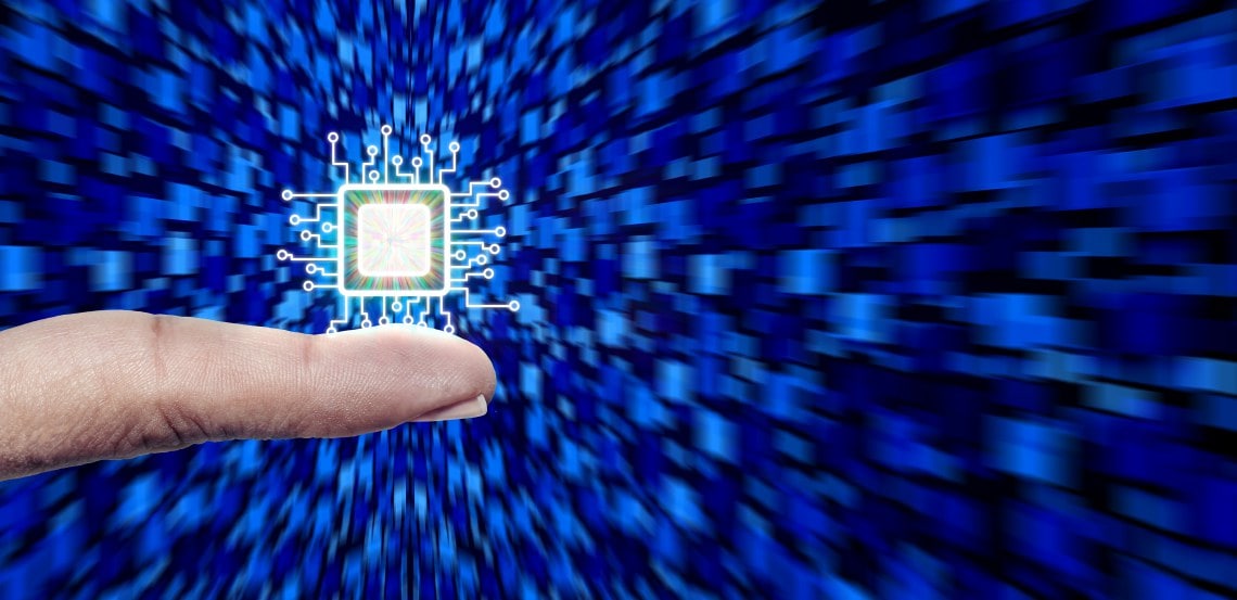 Largest Domestic Microcontroller Supplier