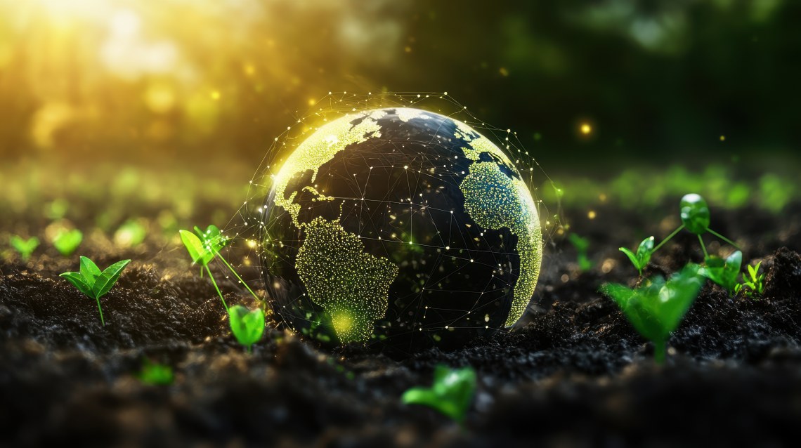 Sustainability