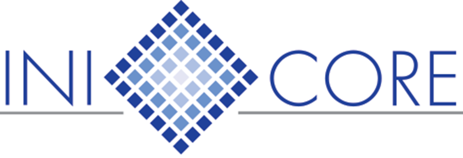 IP Core