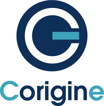 IP Core