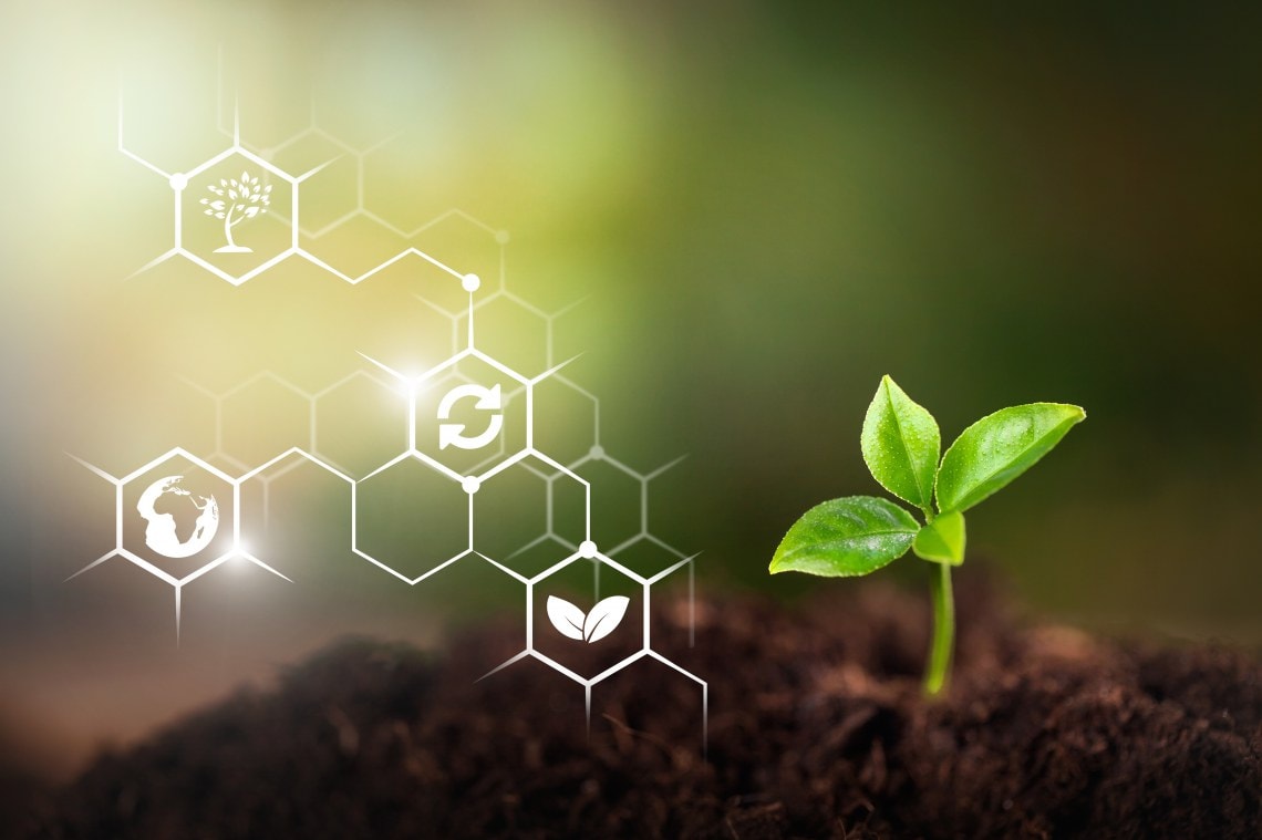 Sustainability Reports