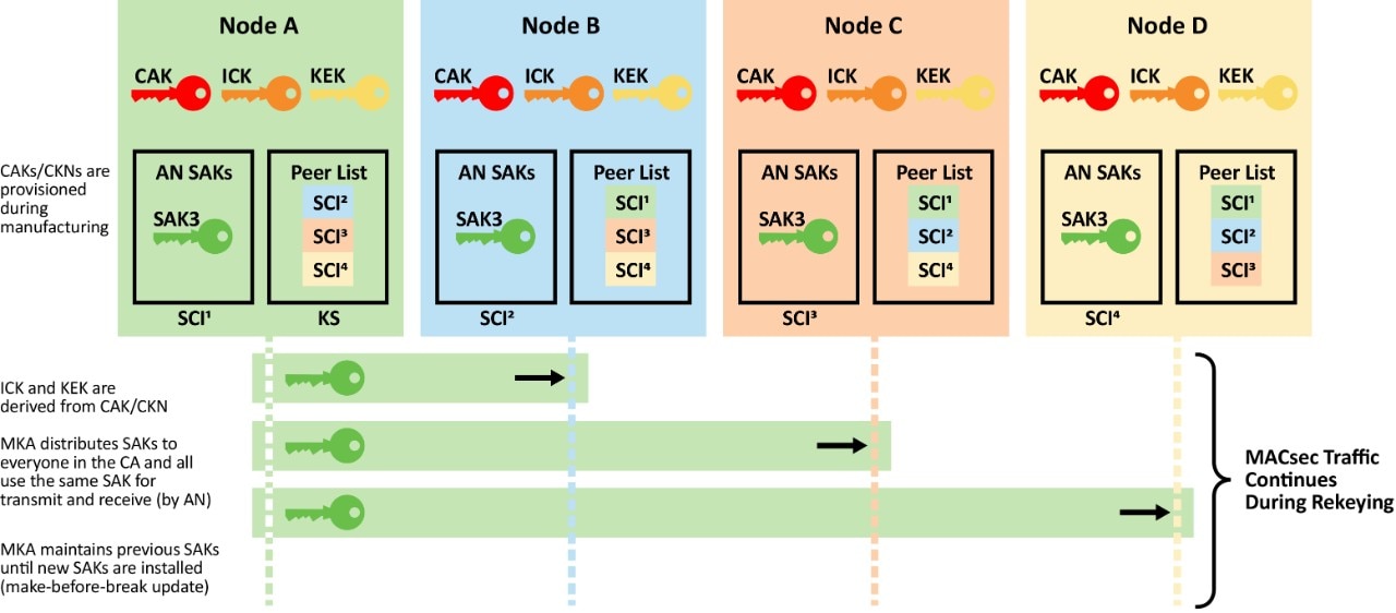 GR-25-108925-250925-SCG-GRAPH-MACsec-Network-with-MKA-9x5