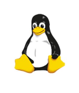 Linux Penguin