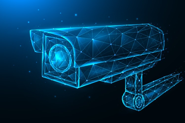 IP Cameras and Security Application 