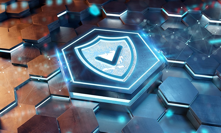 Trust&GO Security