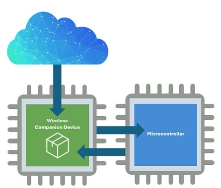Firmware Updates on a Wireless Companion Device