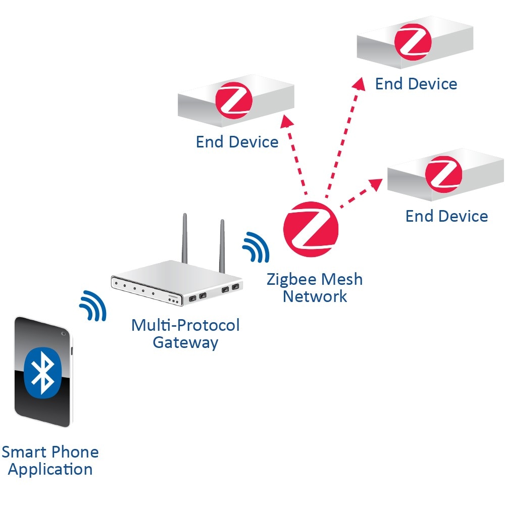 Multi-Protocol Gateway and Network